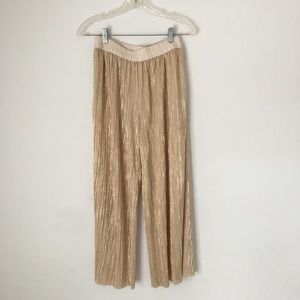 Anthropologie Pleated Trousers